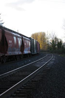 Train Track 1041